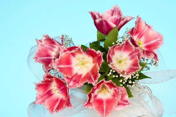 Bouquet de mariage de tulipes . — Photo
