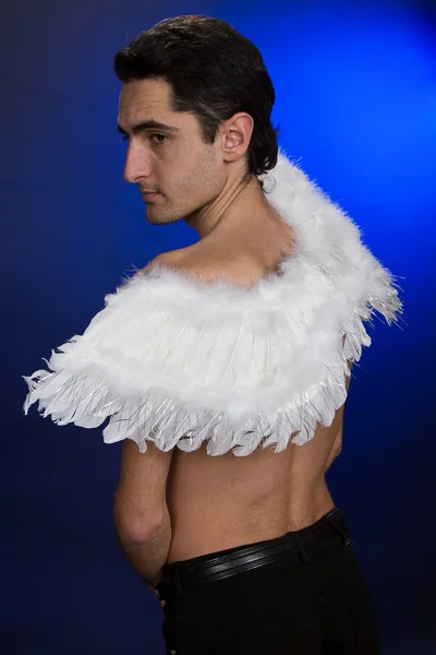 Glamour man with white wings. Royalty Free Stock Photos