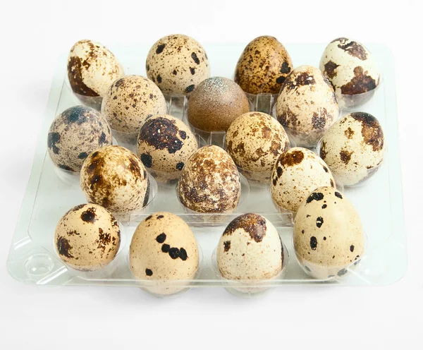 Envase de huevos de codorniz . —  Fotos de Stock