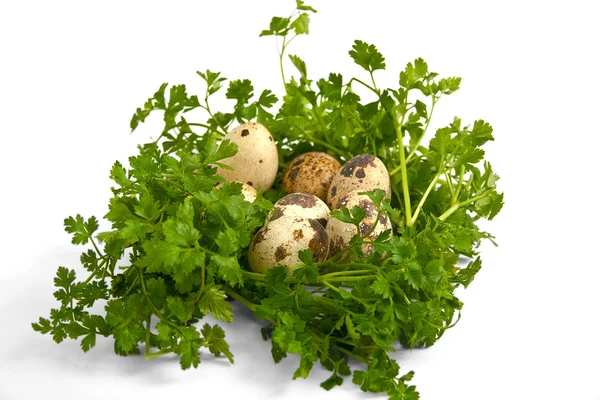 Ovos de codorna com vegetação . — Fotografia de Stock
