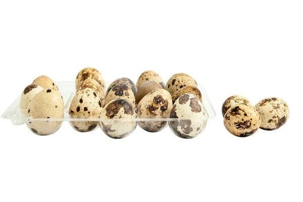 Envase de huevos de codorniz . —  Fotos de Stock
