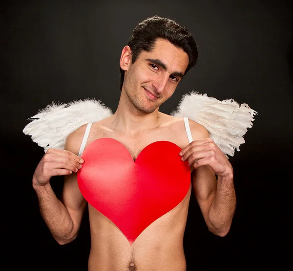 stock image Glamour man with white wings.
