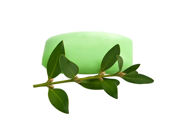 Grüne Seife mit Frühling — Stockfoto