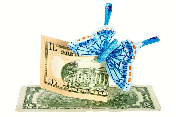Dólares americanos con mariposa . —  Fotos de Stock