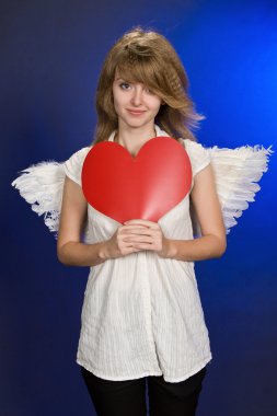 Angel in Valentine's Day .