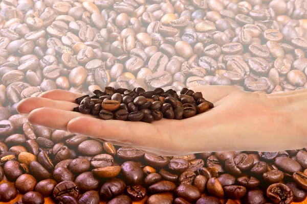 Bönor svarta arabiska kaffe. — Stockfoto