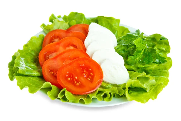 Sýr s rajčaty a salátem — Stock fotografie