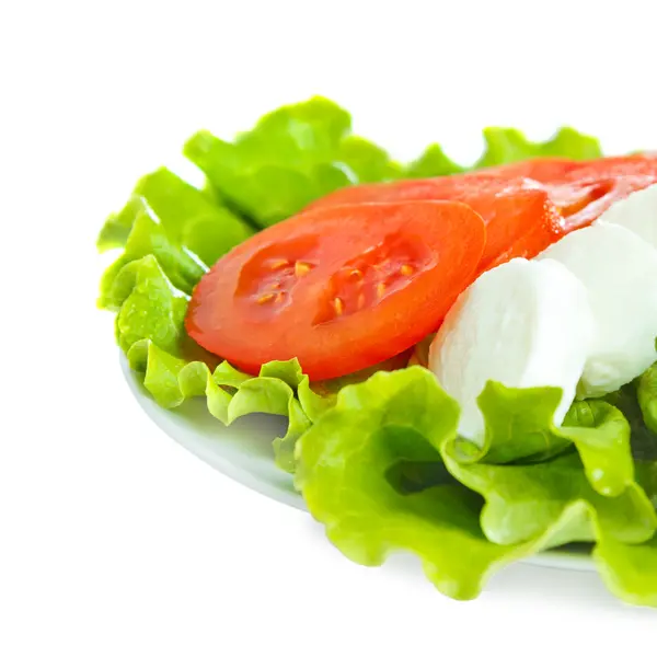 Sýr s rajčaty a salátem — Stock fotografie