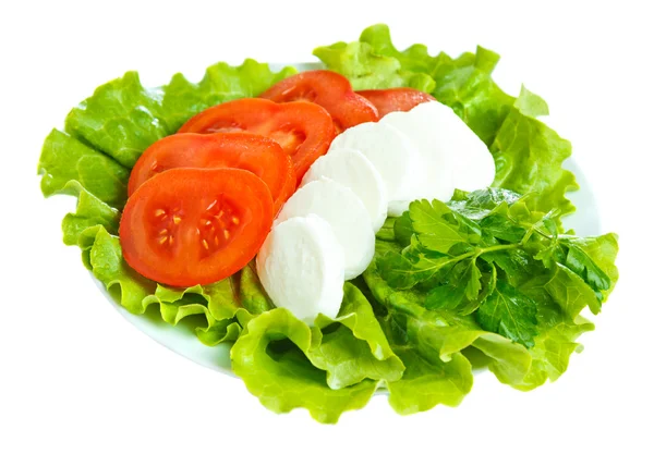 Queso con tomate y ensalada —  Fotos de Stock