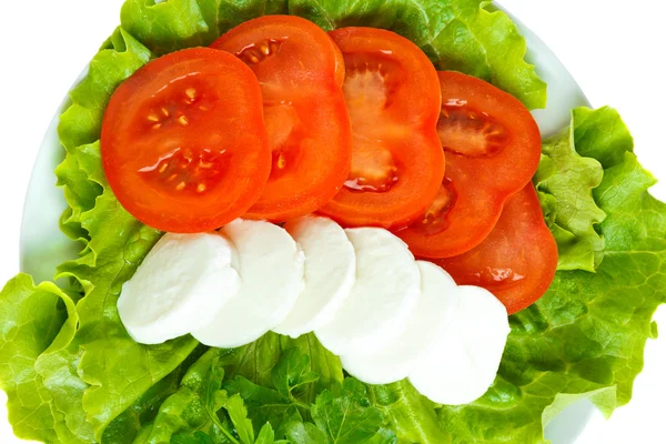 Сир з помідорами та салатом — стокове фото