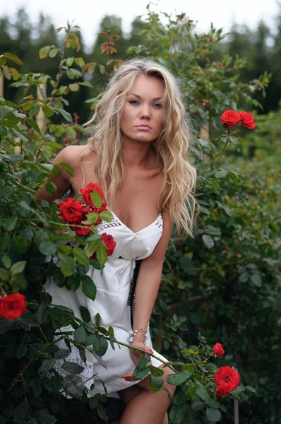 Blond sensuel aux roses rouges — Photo