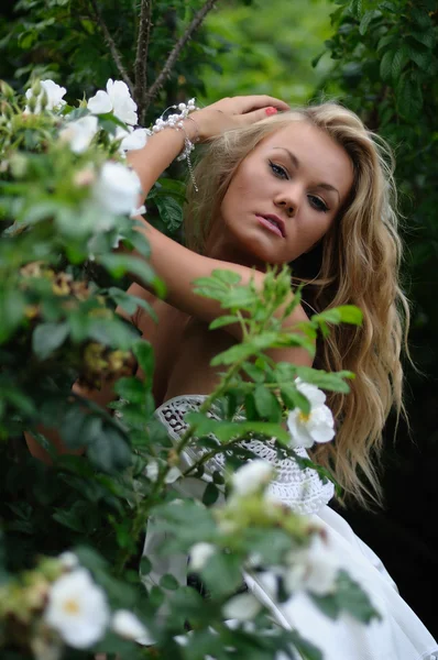 Sexy blonde peering over rozen — Stockfoto