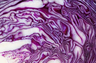 Red cabbage texture clipart