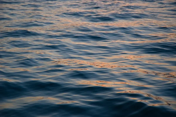 Море в вечернее время — стоковое фото