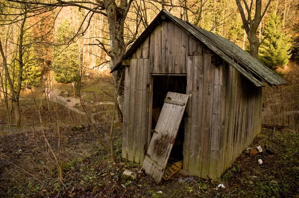 Old shed in the forest — Stock Photo, Image