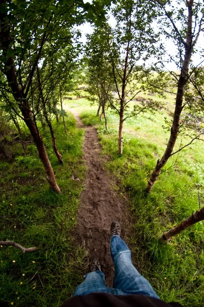 Caminando por el sendero en el bosque, Punto de Vista — Foto de Stock