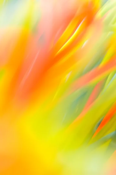 Frische farbenfrohe Abstraktion — Stockfoto
