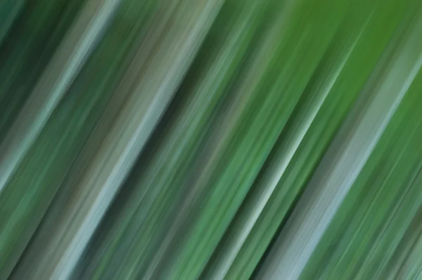Linee dinamiche astratte verdi — Foto Stock