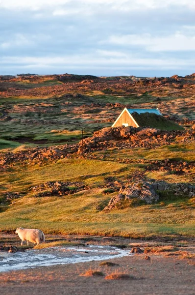 Pequeña casa en un hermoso paisaje de montaña, Islandia —  Fotos de Stock
