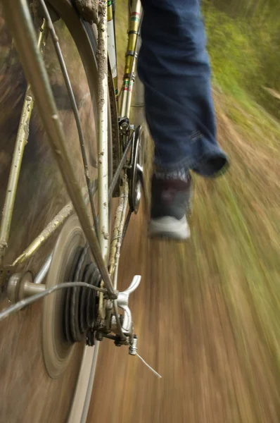 Jazda off-road, punktu widzenia rower — Zdjęcie stockowe