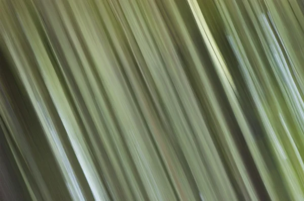 Зелёные абстрактные динамические линии — стоковое фото