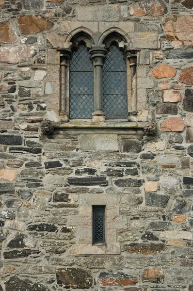 stock image Detail of old stone cathedral