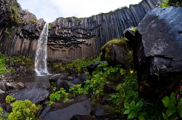 Svartifoss, famosa cachoeira negra, popular ponto turístico no parque nacional Skaftafel da Islândia — Fotografia de Stock