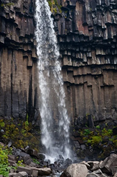 Svartifoss, známý černý vodopád, oblíbené turistické místo v národním parkem islandských skaftafel — Stock fotografie