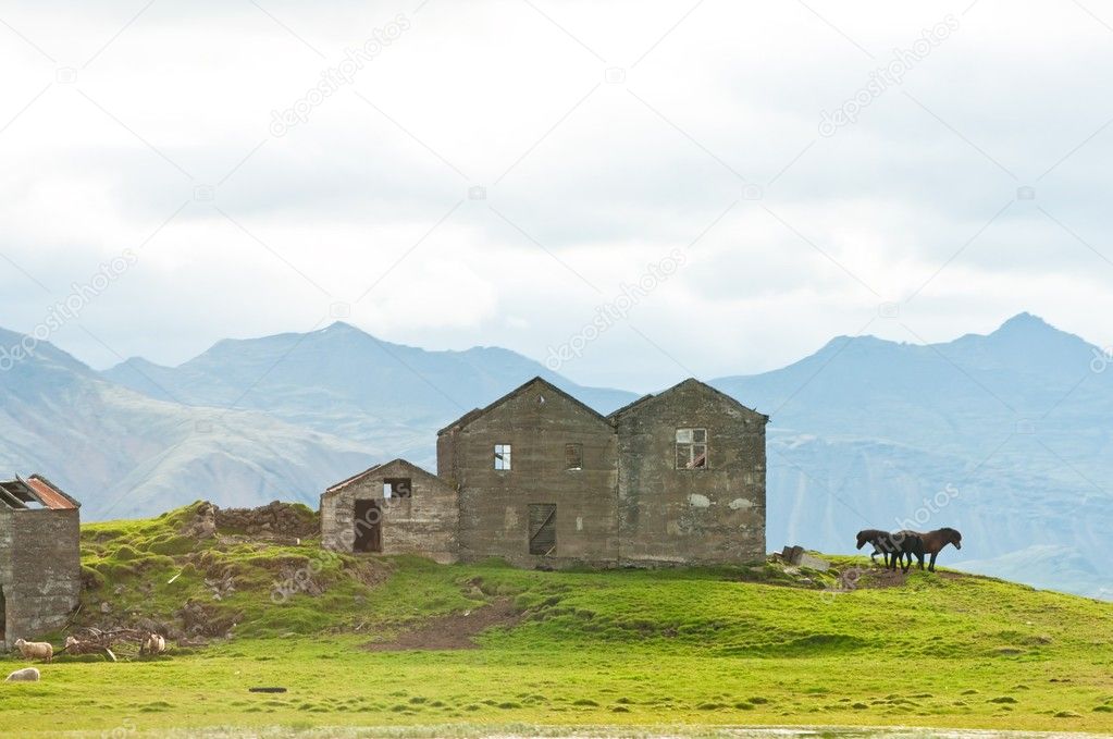 House ruins and horses grazing