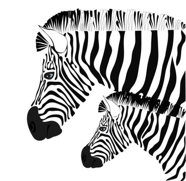 Download Joyful Zebra Free Vector Eps Cdr Ai Svg Vector Illustration Graphic Art