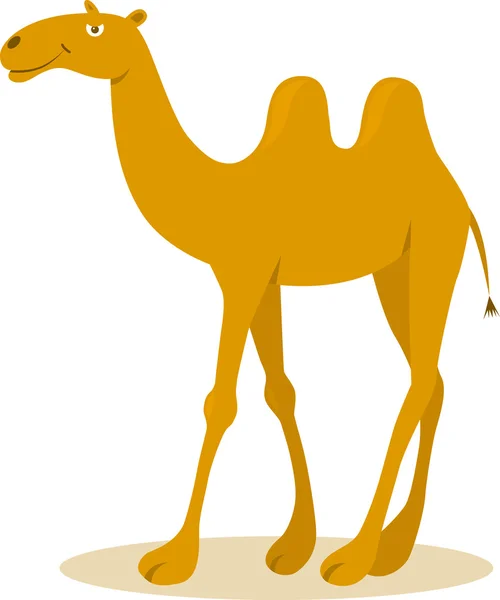 Шагающий верблюд — стоковый вектор