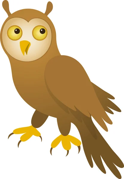 stock vector Vector Owl