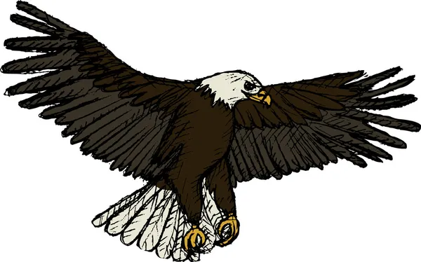 Fliegender Adler (Vektor) — Stockvektor