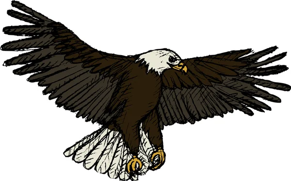Fliegender Adler (Vektor) lizenzfreie Stockvektoren