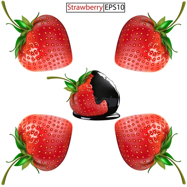 Strawberries — Stock Vector
