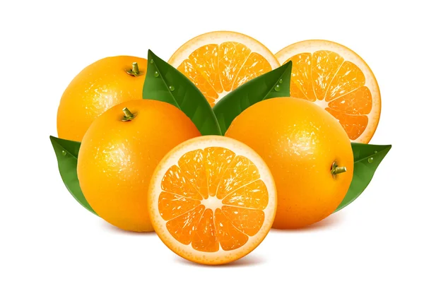 Oranges — Image vectorielle
