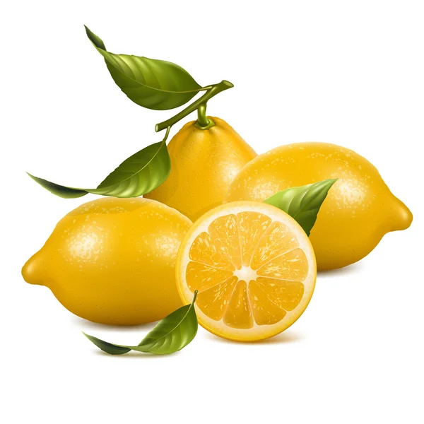 Limones — Vector de stock