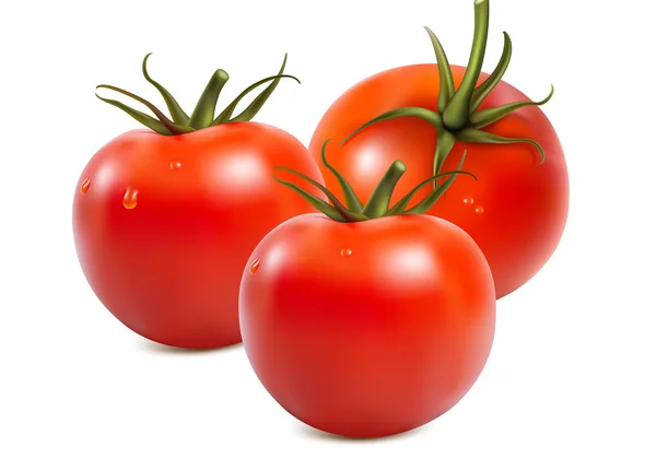 Tomatos - Stok Vektor
