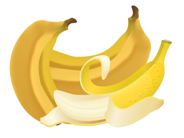 Bunch of bananas — Stock Vector