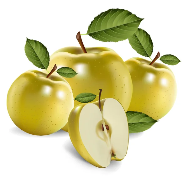 Зелені яблука — стоковий вектор