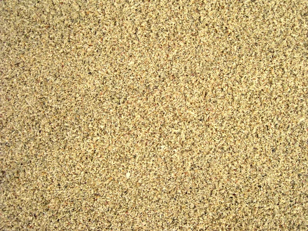 Vlhký písek — Stock fotografie