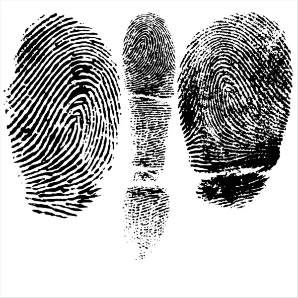 Thumb and finger print — Stock Vector