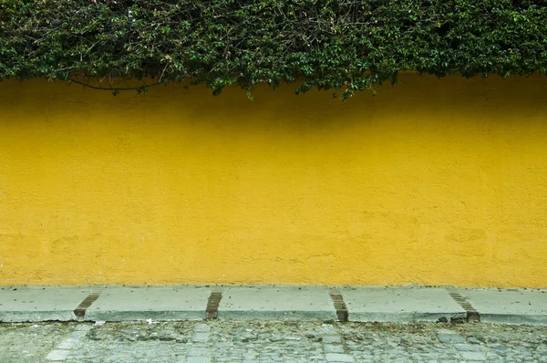 stock image Yellow textured wall with greenery