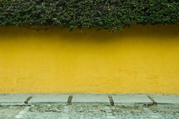 Gelbe strukturierte Wand mit viel Grün Stockbild