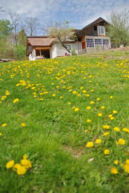 kır evi