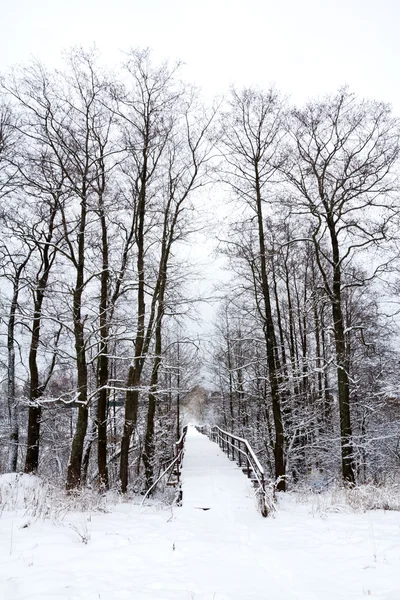 stock image Winter bridge