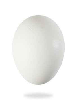 White egg clipart