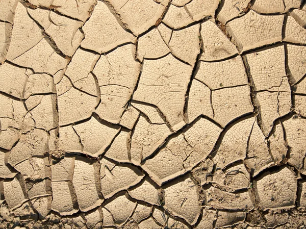 dirty land dirty land