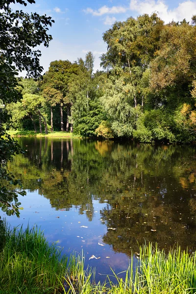 stock image Still water