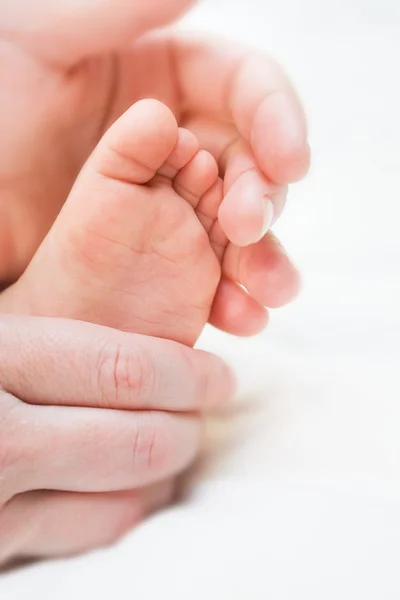 婴儿的脚 免版税图库照片
